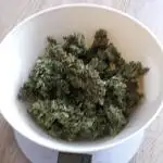Apple Fritter Auto