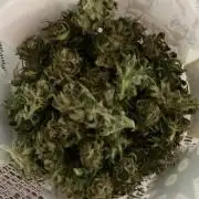 Gorilla Girl Fast version