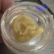 Sticky Broccoli 🥦 Eternity GrowCup