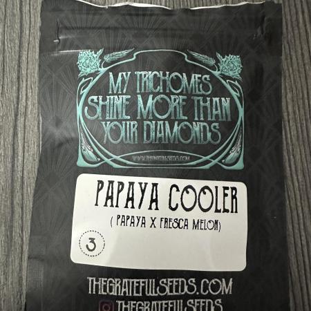 Papaya Cooler 😎