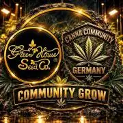 Canna-Community-Grow Shishka Lemonade 🍋