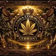 CCG x Original Sensible Seeds Strain#2