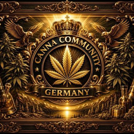 CCG x Original Sensible Seeds Strain#2