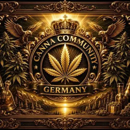 CCG x Original Sensible Seeds Strain#2