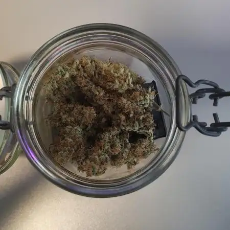 GHS Ztrawberry 🍓 & Fullgas 🏎️⛽