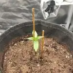 2025-11-07 Quick One