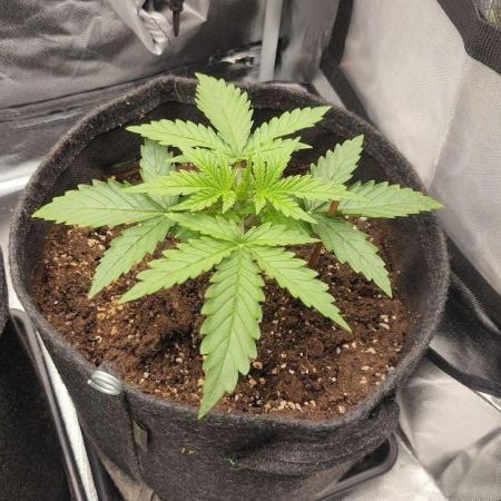 2025-11-07 Quick One