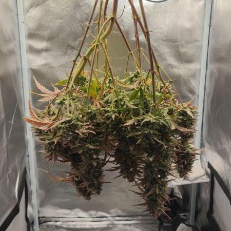 Quick One 2025-08-23