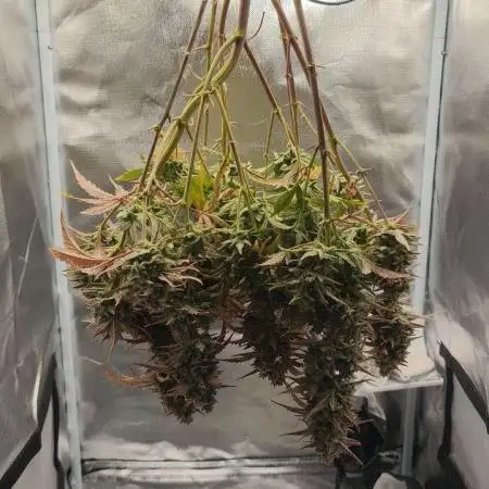 Quick One 2025-08-23