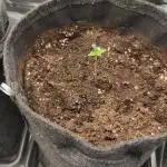 2025-11-07 Quick One