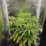 2025-10-06 Epsilon F1