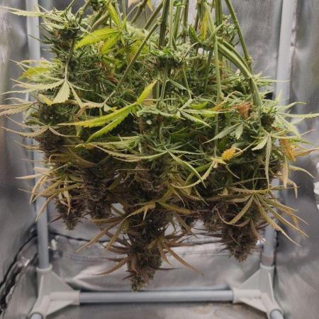 2025-10-06 Epsilon F1