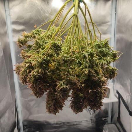 2025-11-07 Quick One