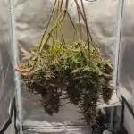 Quick One 2025-08-23