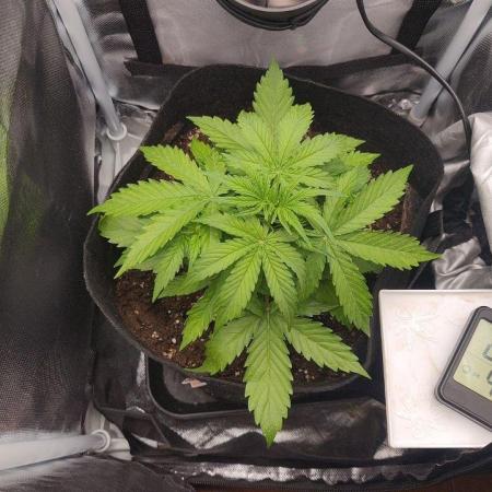 2025-10-06 Epsilon F1