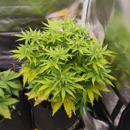 2025-11-07 Quick One