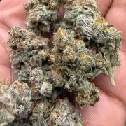 Butter wavez clones
