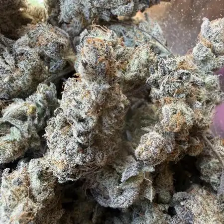 Butter waves n nana glue clones