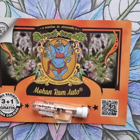 Sweet Seeds Auto Mohan Ram