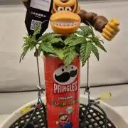 Gorillamelon (Pringles-Cup)