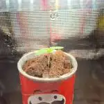 Gorillamelon (Pringles-Cup)