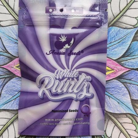 Anesias White Runtz