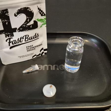 Kekse aus den Tropen