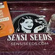 Sensis Cherry Strudel