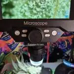 Melonade frisch aus dem Vulkan!