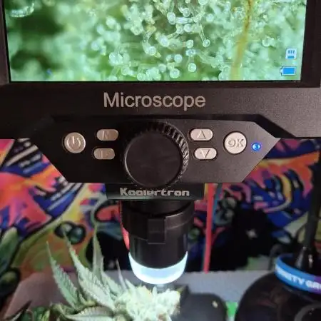 Melonade frisch aus dem Vulkan!