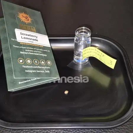 Erdbeer Limo für die Box