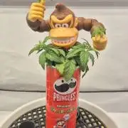 Gorillamelon (Pringles-Cup)