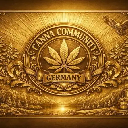 CCG für Sweet Seeds Gorillasorbet