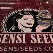 Sensis Cherry Strudel