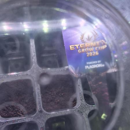 Eternity Grow Cup 2026