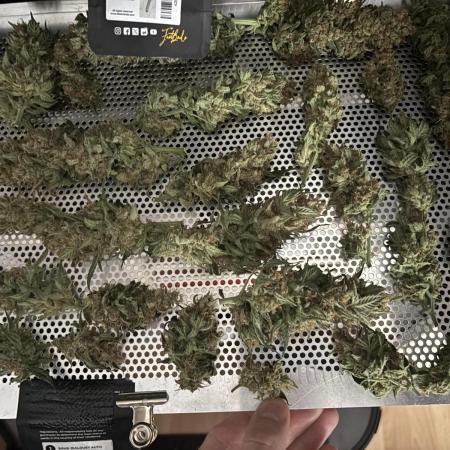 „Sativa“ Run