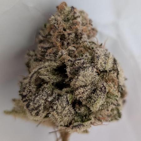 60x60cm - 3 Strain Grow - 100W