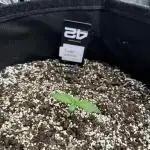 FastBuds Test Round #3