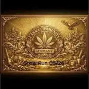 C.C.G / O.S.S Grow Event
