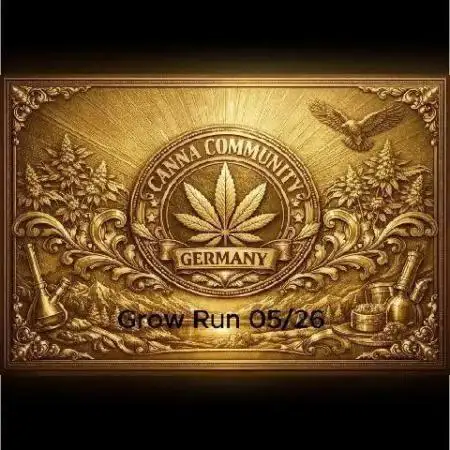 C.C.G / O.S.S Grow Event