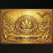 C.C.G / O.S.S Grow Event