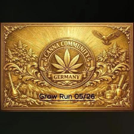 C.C.G / O.S.S Grow Event