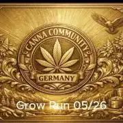 C.C.G / O.S.S Grow Event