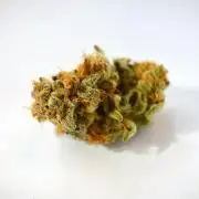 Grow #1 Coochie Runtz & First Class Funk