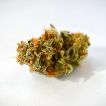 Grow #1 Coochie Runtz & First Class Funk