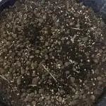 Vermicompost