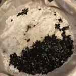 Vermicompost
