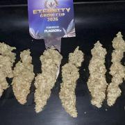 Eternity Grow 🏆 Micro Grow