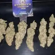 Eternity Grow 🏆 Micro Grow