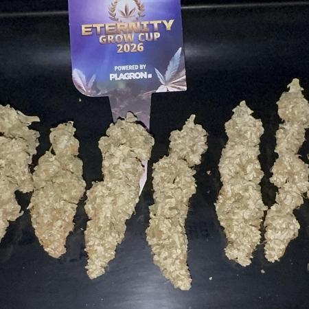 Eternity Grow 🏆 Micro Grow